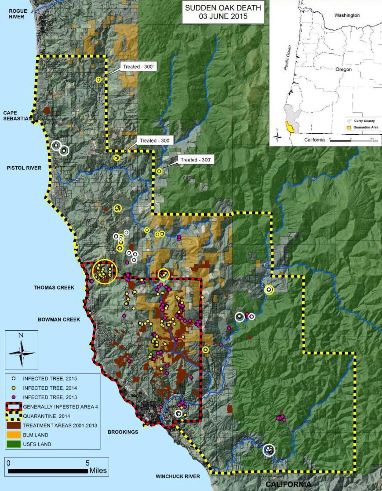 Sudden Oak Death - June 2015